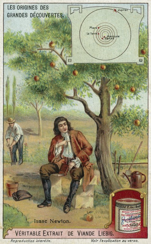 Isaac Newton og tyngdekraften av European School