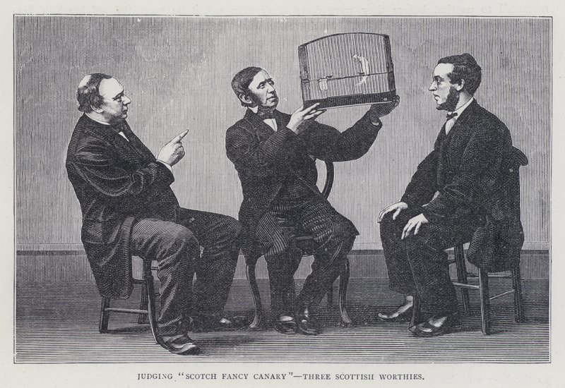Å dømme "Scotch Fancy Canary", Three Scottish Worthies av European School