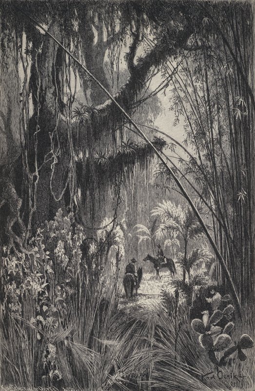 Jungel i Cordillera of Salta, nordvest i Argentina (litho) av European School