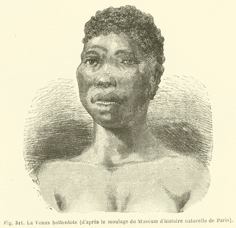 Hottentot Venus, fra rollebesetningen til Museum of Natural History i Paris (gravering) av European School