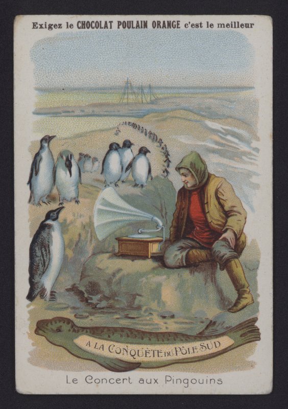 The Penguin Concert (farge litho) av European School