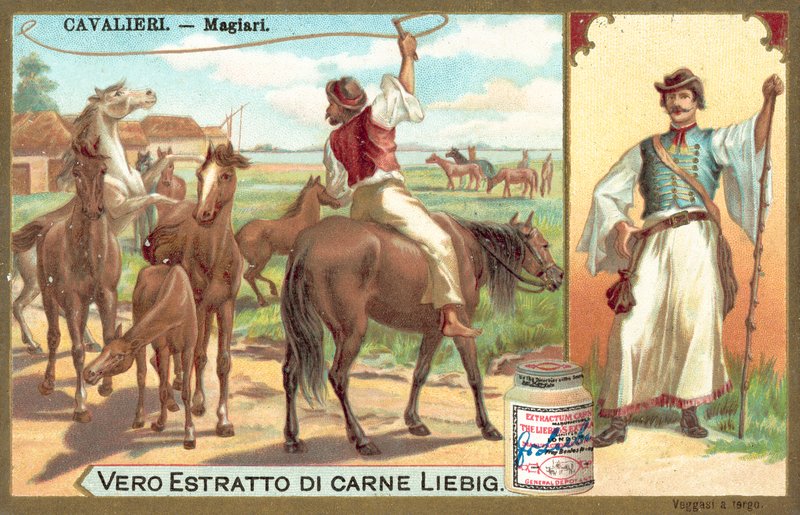 Magyarer (chromolitho) av European School