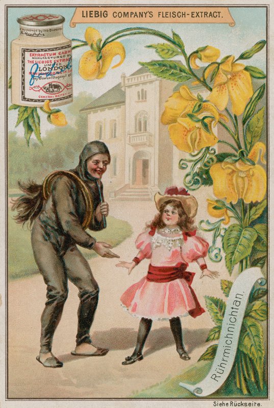 Mimosa av European School