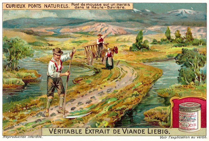 Mosebro i en myr i Øvre Bayern (chromolitho) av European School