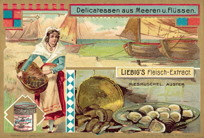 Blåskjell og østers (chromolitho) av European School