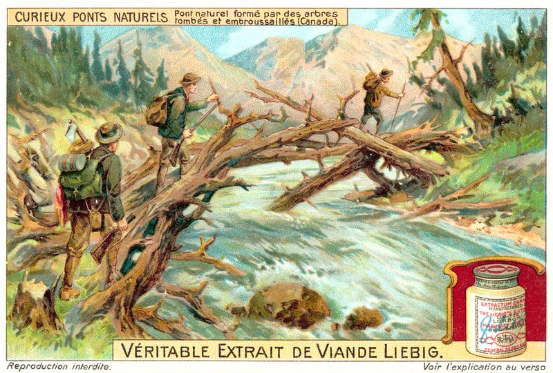 Naturlig bro dannet av falne og gjengrodde trær i Canada (chromolitho) av European School