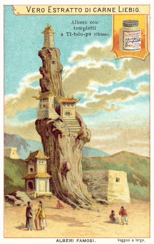 Gammelt tre med templer på i Kina (chromolitho) av European School