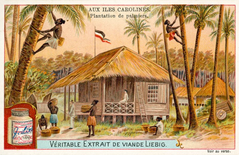 Palmeplantasje, Caroline Islands (chromolitho) av European School