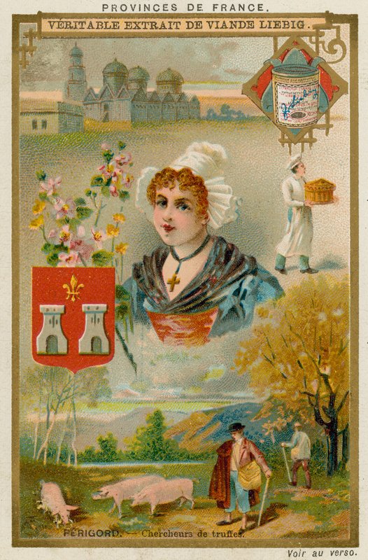 Perigord av European School
