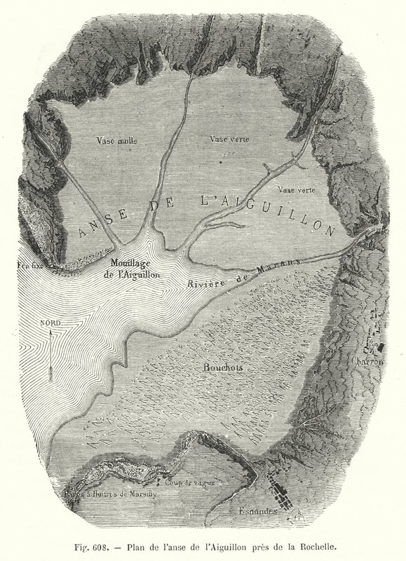Plan over Aiguillon-bukten nær La Rochelle (gravering) av European School