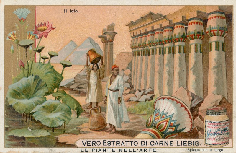 Planter i kunst, Liebig-kort, tidlig på 1900-tallet (kromo) av European School