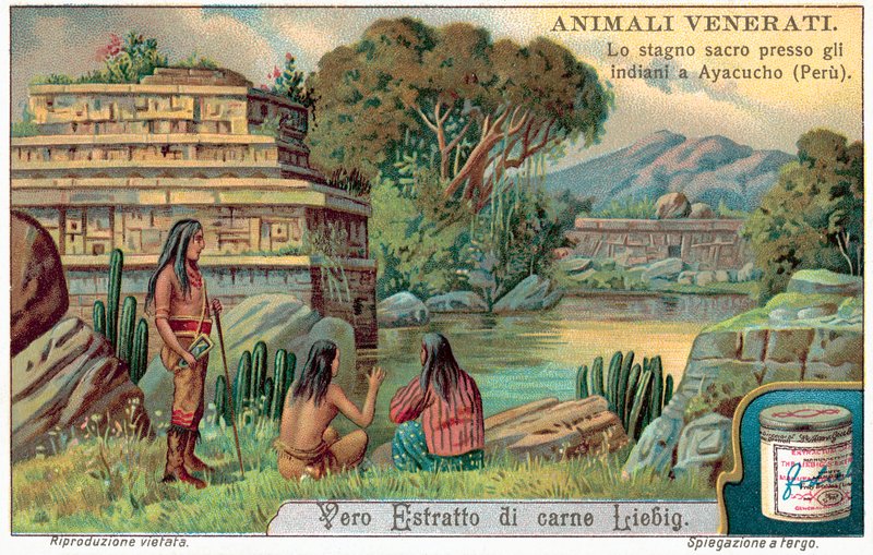 Pool av hellig fisk i Ayacucho, Peru (chromolitho) av European School