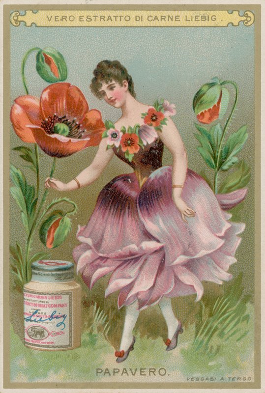 Poppy Flower Girl av European School
