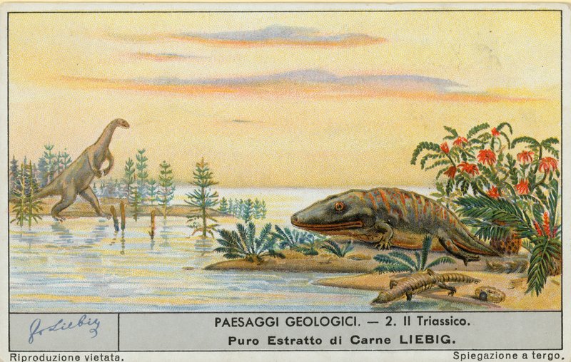 Forhistorisk verden, Liebig-kort, tidlig på 1900-tallet (kromo) av European School