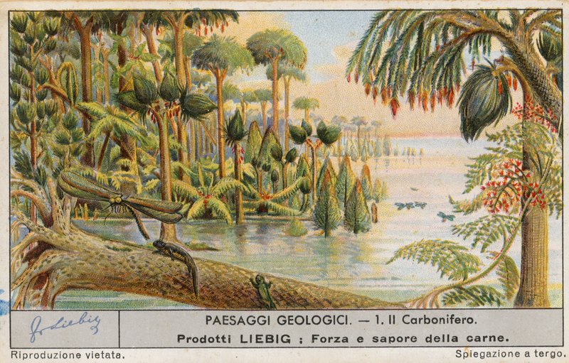 Forhistorisk verden, Liebig-kort, tidlig på 1900-tallet (kromo) av European School