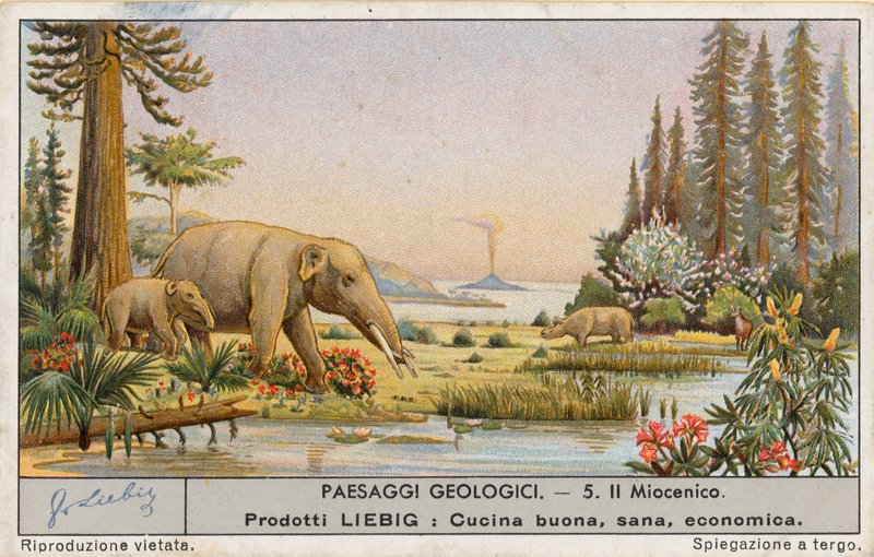 Forhistorisk verden, Liebig-kort, tidlig på 1900-tallet (kromo) av European School