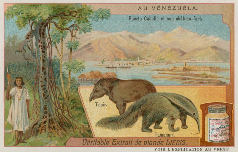 Puerto Cabello og dets fort med en tapir og en maursluker av European School