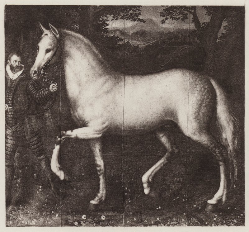 Dronning Elizabeths hest (litho) av European School