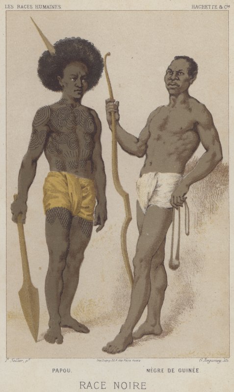 Black Race, Papuan, Black fra Guinea (chromolitho) av European School