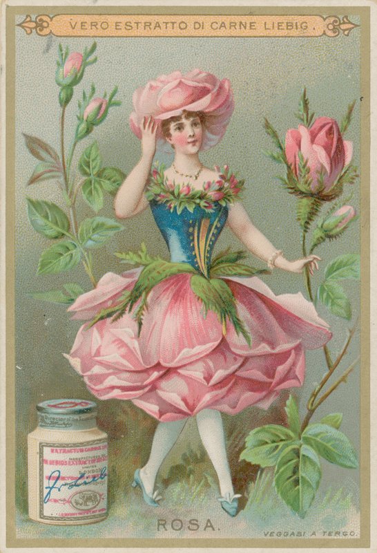 Rose Flower Girl av European School