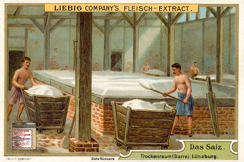 Salt: tørkerom, Luneburg, Tyskland (chromolitho) av European School