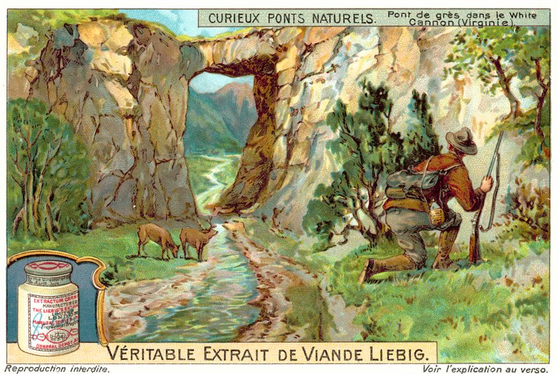 Sandsteinsbro i White Canyon, Virginia (chromolitho) av European School