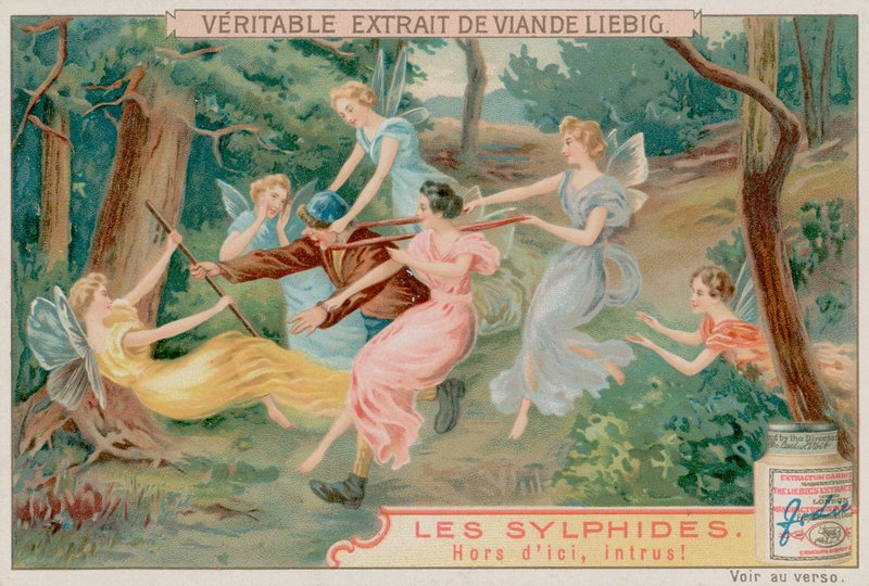 Sylfer og en inntrenger av European School