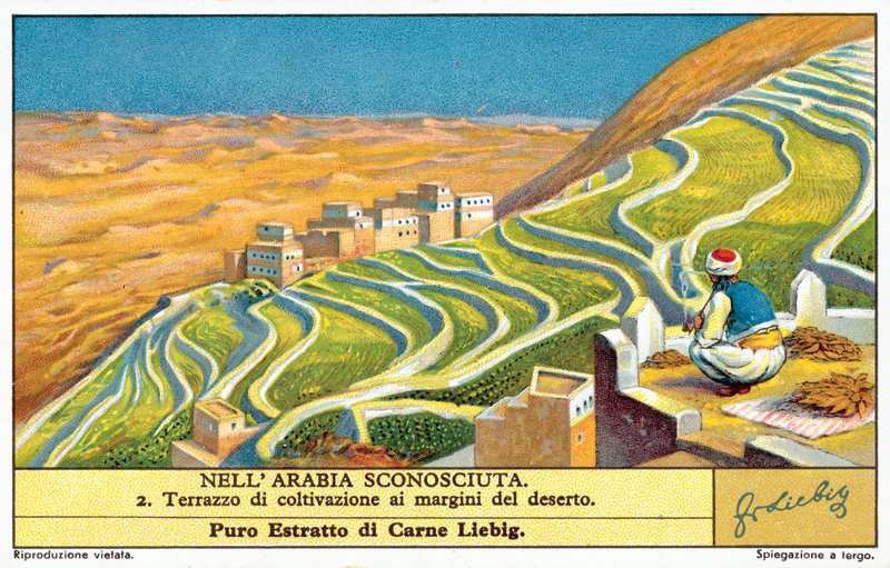 Terrassedyrking på kanten av ørkenen (chromolitho) av European School