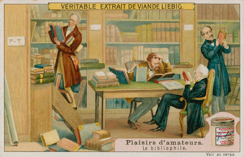 Amatørbibliofilen av European School