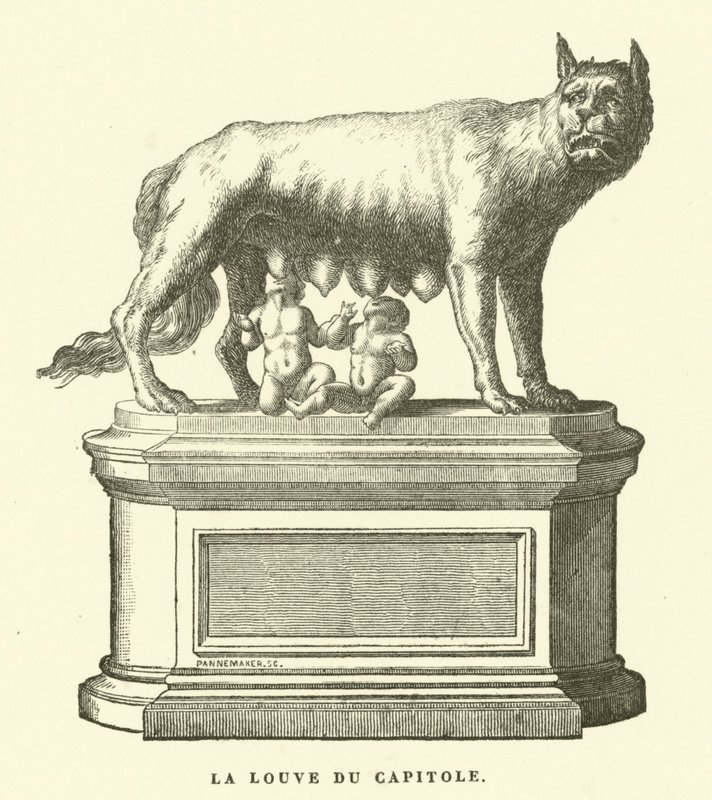 Capitoline Wolf, bronseskulptur som viser ulven som dier Romulus og Remus, tvillinggrunnleggerne av Roma (gravering) av European School