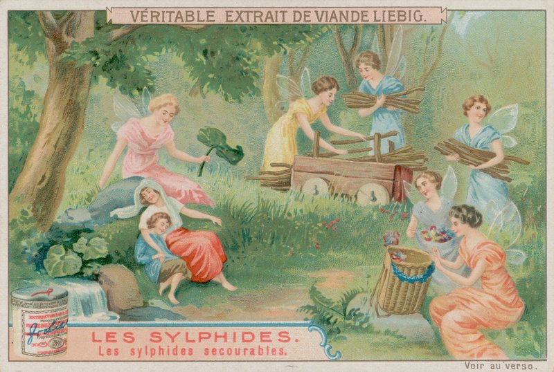 De hjelpsomme sylfene av European School