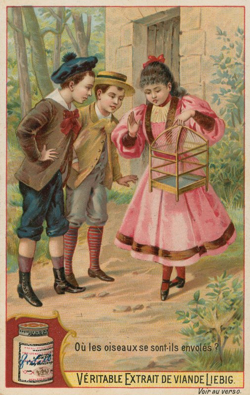 De tapte fuglene av European School