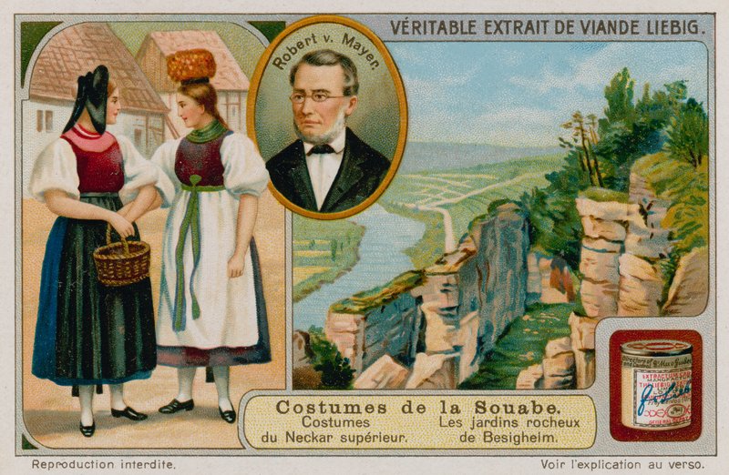 Klærne til Upper Neckar-elven, Julius Robert von Mayer og steinhagene i Besigheim av European School