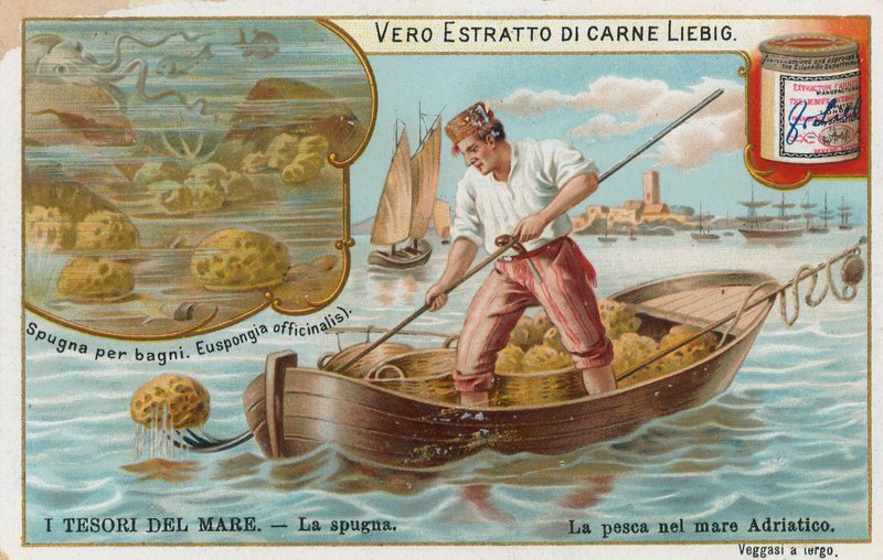 Havets skatter, Liebig-kort, tidlig på 1900-tallet (kromo) av European School