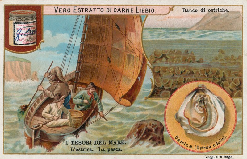 Havets skatter, Liebig-kort, tidlig på 1900-tallet (kromo) av European School