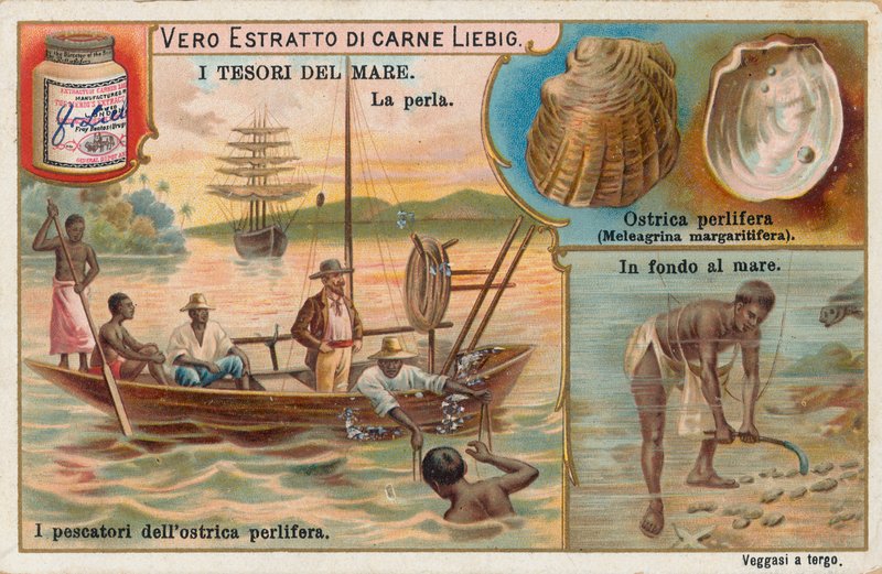 Havets skatter, Liebig-kort, tidlig på 1900-tallet (kromo) av European School