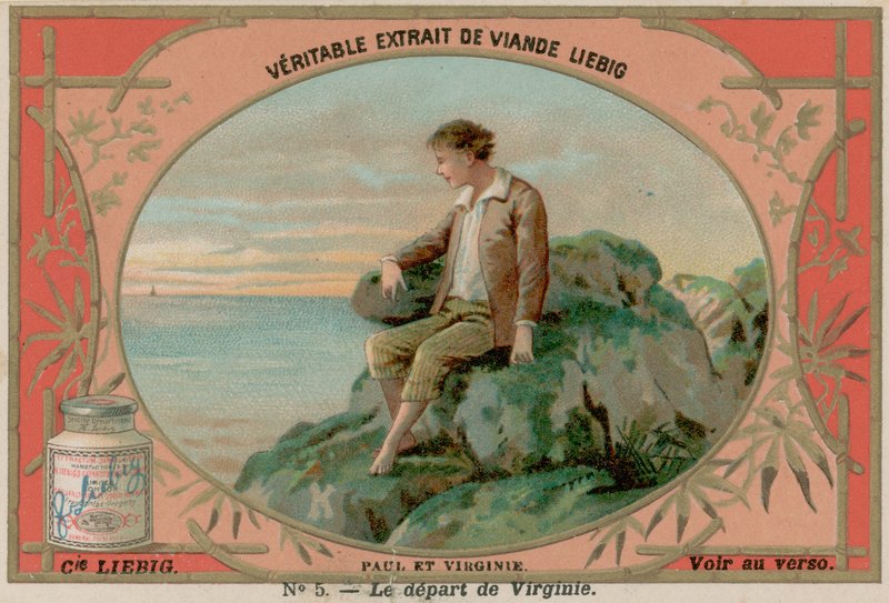 Virginie blader av European School