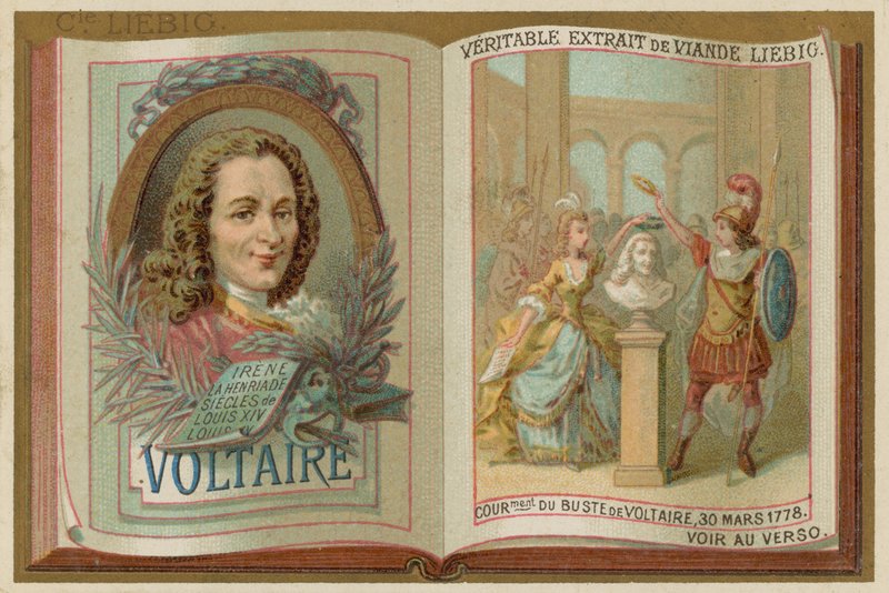 Voltaire av European School