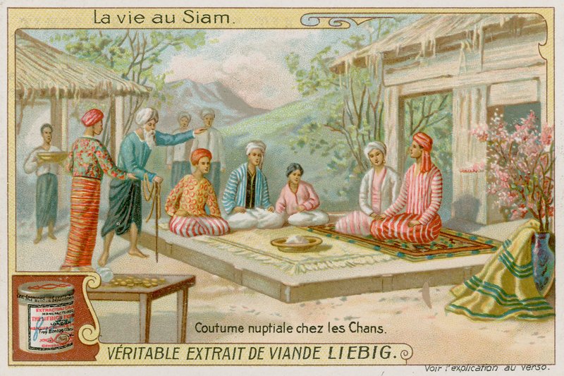 Vielsen av European School