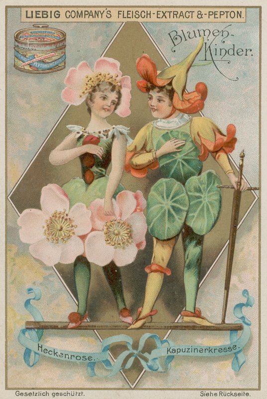 Wildrose og Nasturtium av European School
