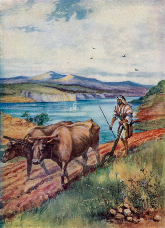 Pløying i Jesu land (farge litho) av Evelyn Stuart Hardy