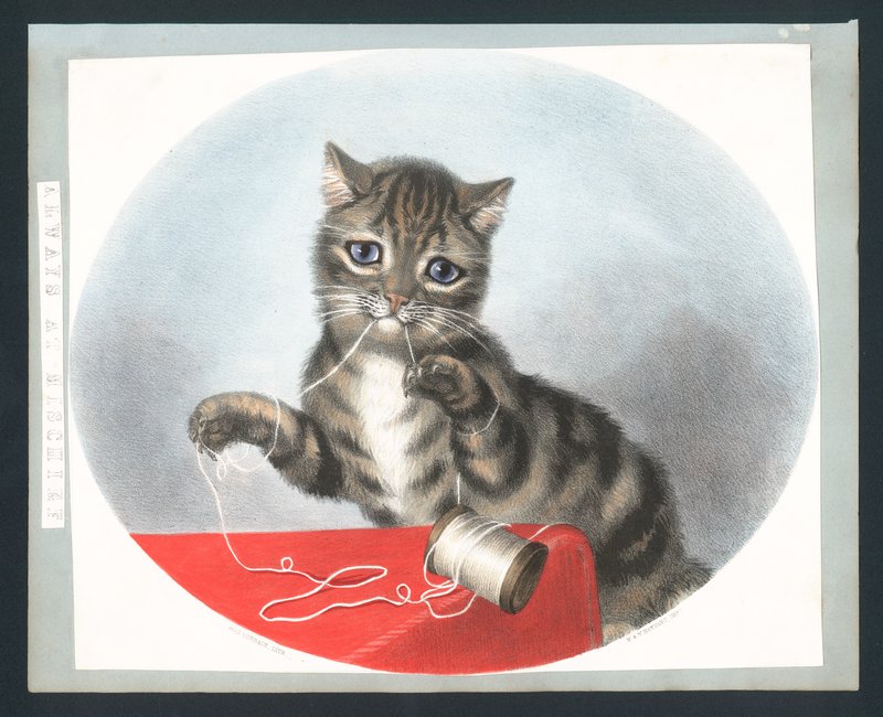 Always at Mischief - viktoriansk gratulasjonskort (chromolitho) av Fanny Corbaux