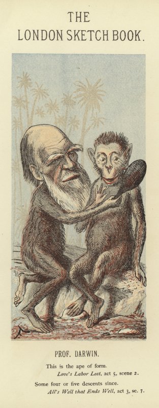 Karikatur av Charles Darwin av Faustin