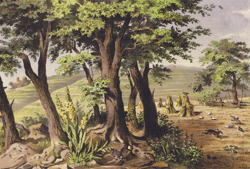  av Ferdinand Karl Klimsch