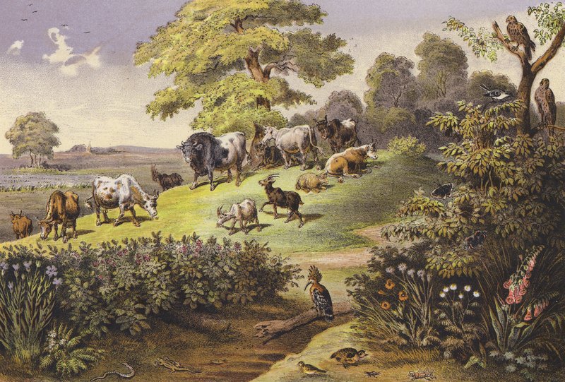  av Ferdinand Karl Klimsch