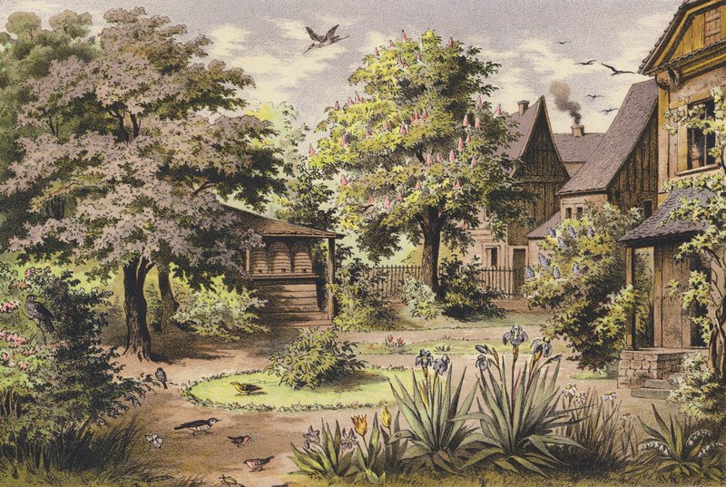 mai (farge litho) av Ferdinand Karl Klimsch