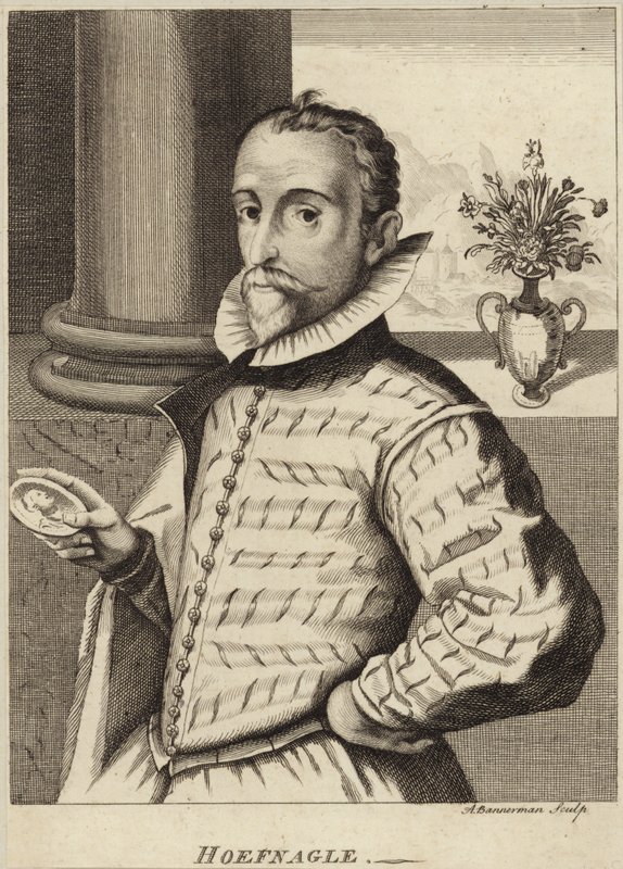 Portrett av Joris Hoefnagel av Flemish School