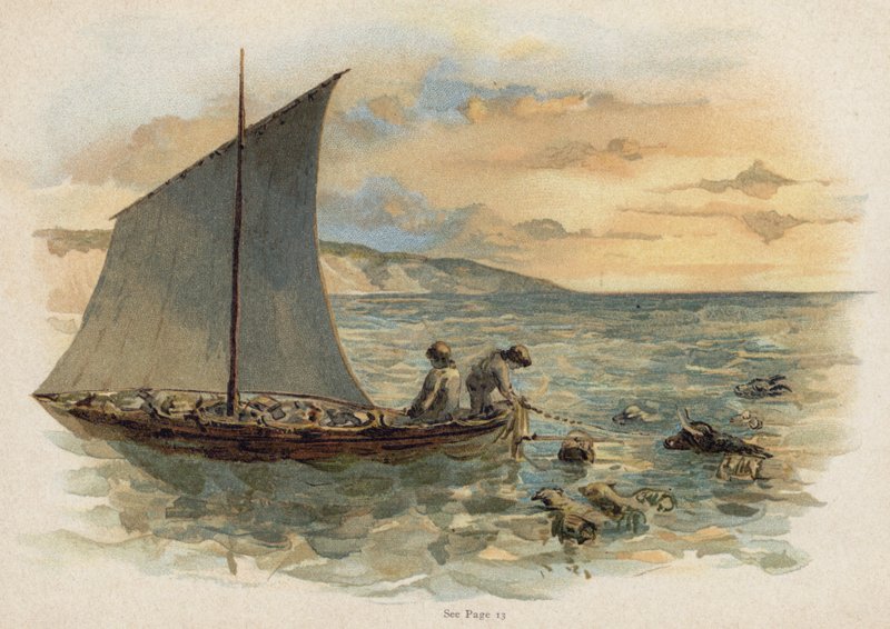 Scene fra The Swiss Family Robinson: bringe dyrene fra vraket (chromolitho) av Florence Maplestone