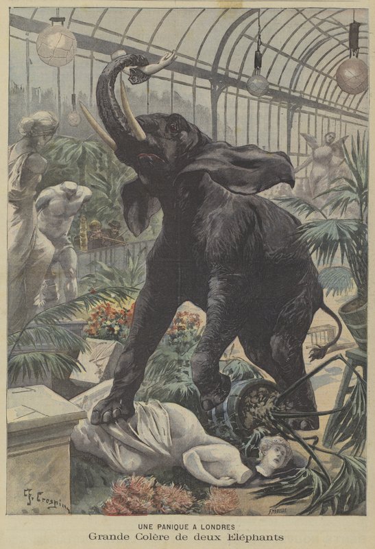 To rasende elefanter herjet i London av Fortune Louis Meaulle