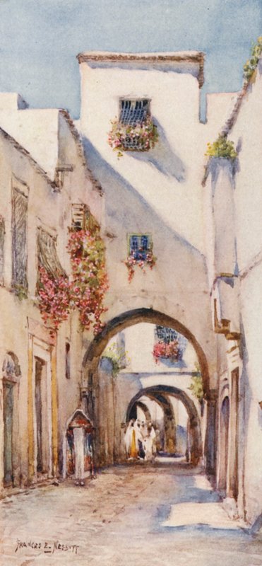  av Frances Nesbitt